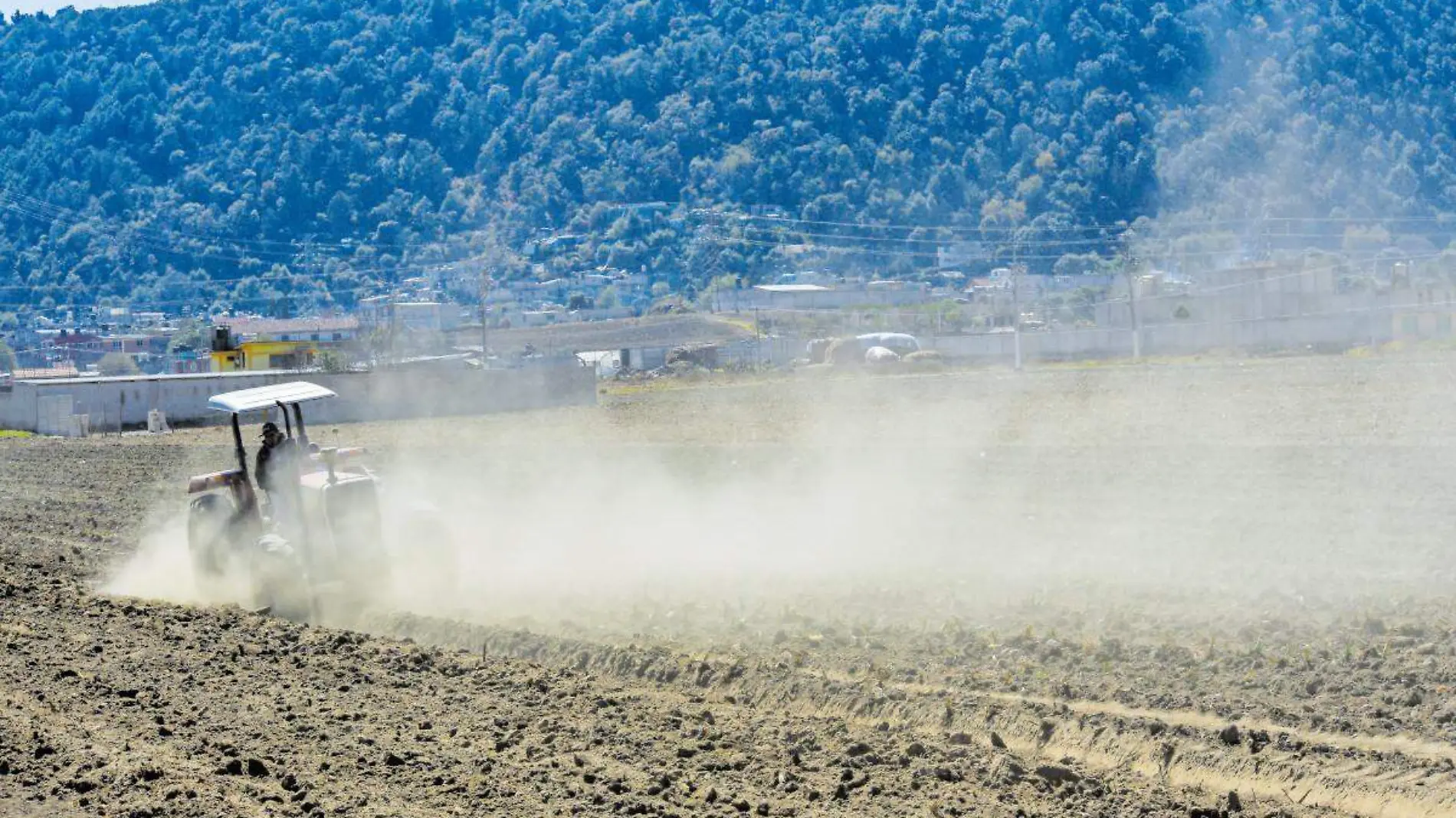 Trabajo en el campo